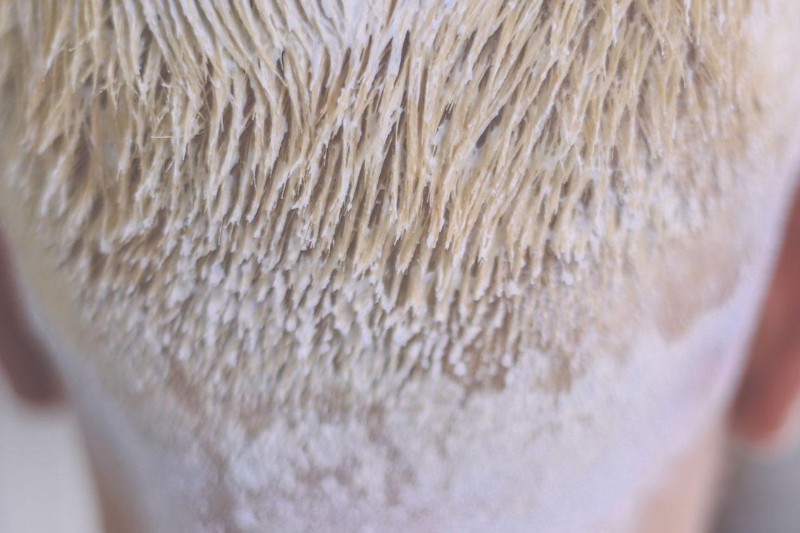 haircris peluqueria coloracion hombre servicios HC 5