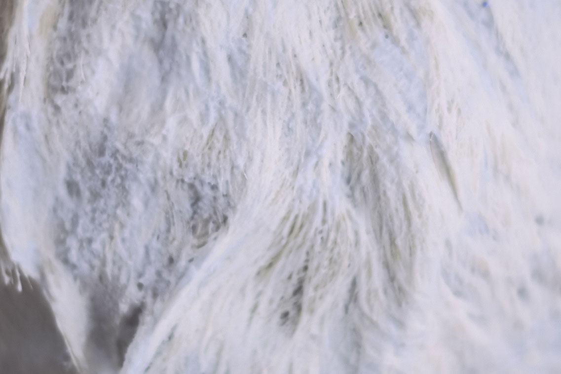 haircris peluqueria coloracion hombre servicios HC 6