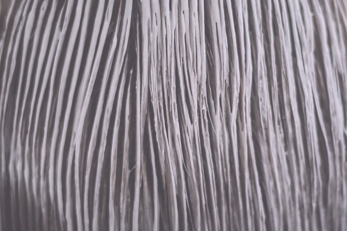 haircris peluqueria coloracion hombre servicios HC 9