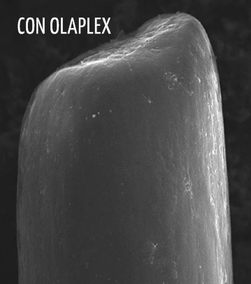 haircris peluqueria olaplex servicios HC 2