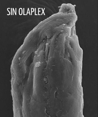 haircris peluqueria olaplex servicios HC 1